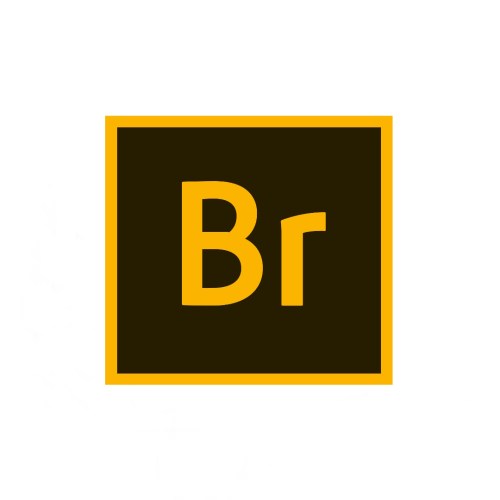 ADOBE BRIDGE